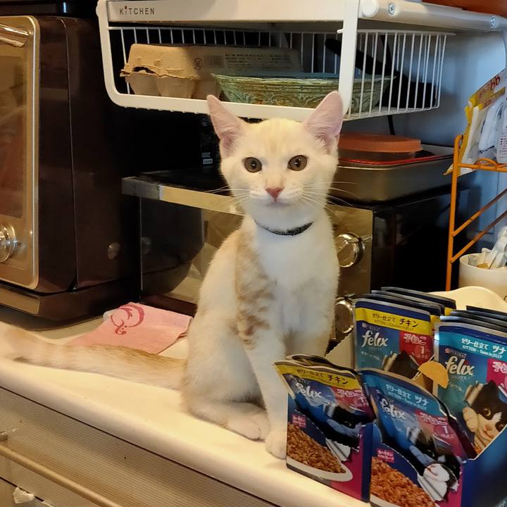 9256e6d4 e504 4c24 bf1e 09f34f5cbafe 1628114871172