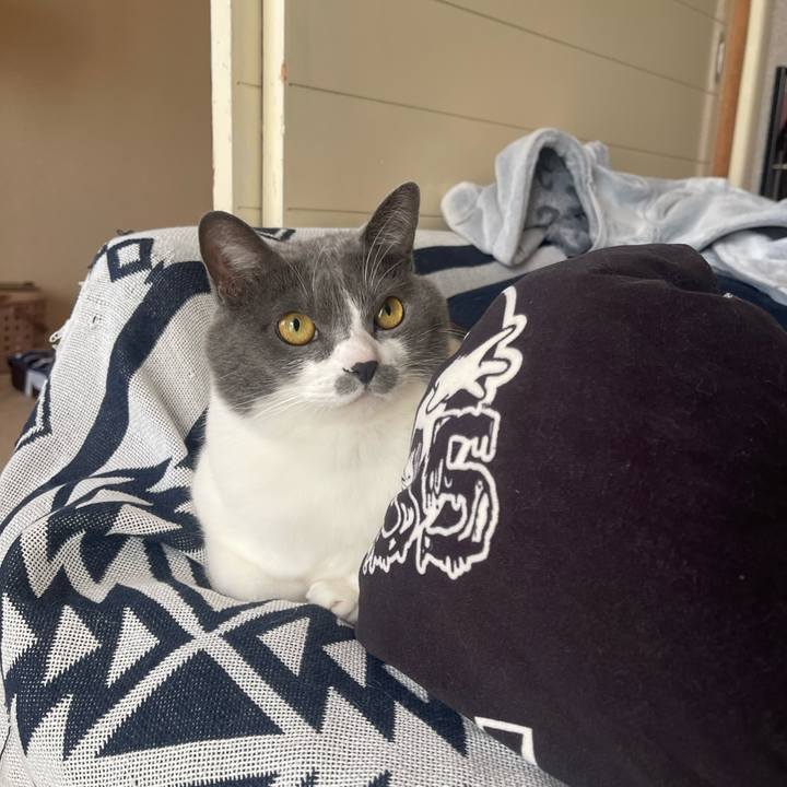 9257121b c1b2 47de 876b c32b7934d86a 1673159221138