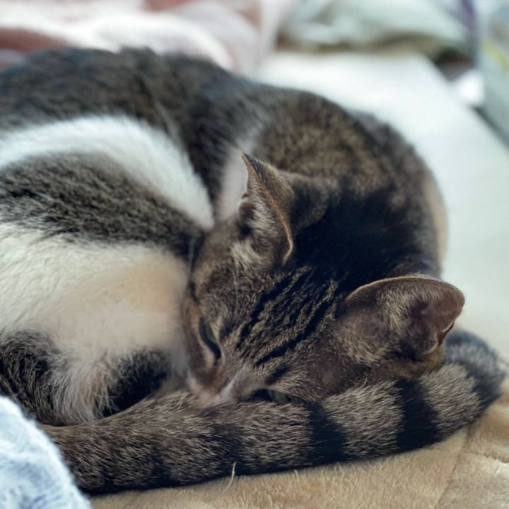 92572235 f26b 4c72 a58a 5ddf16b98949 1638150963191