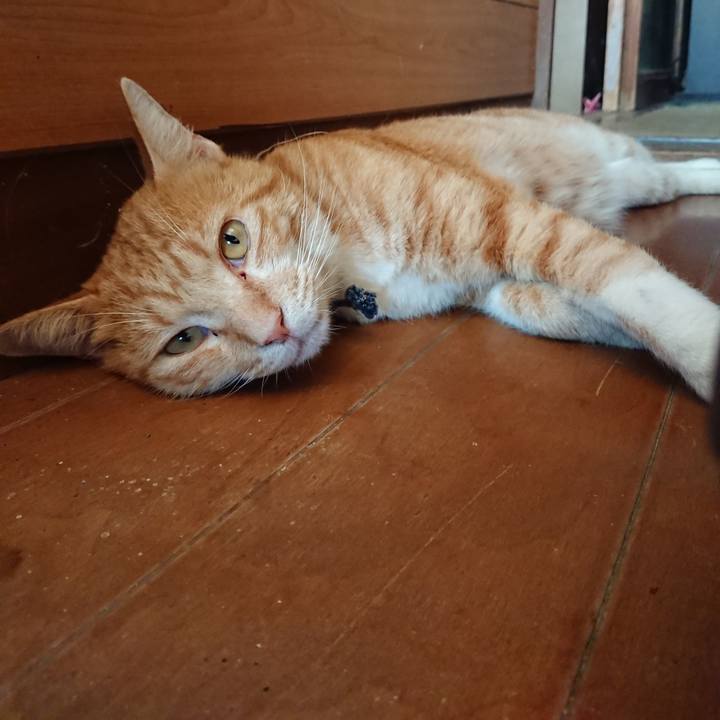 92576563 497d 4e1c 83e4 0f42e6bd1e80 1565843320205