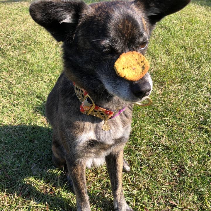 92576fa4 1110 4b2f 921f d1996960b358 1606308906162