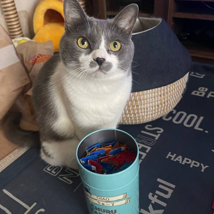 92578684 b1c6 4f8f 8629 f32365ed8713 1718521148801