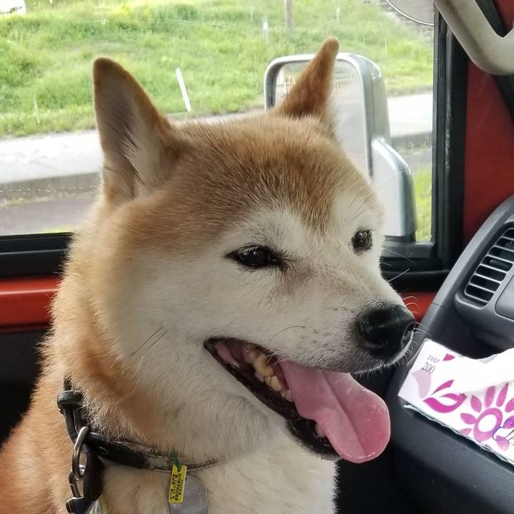 92578ea4 47cb 43c1 9247 a99f0ce3c376 1659171613097