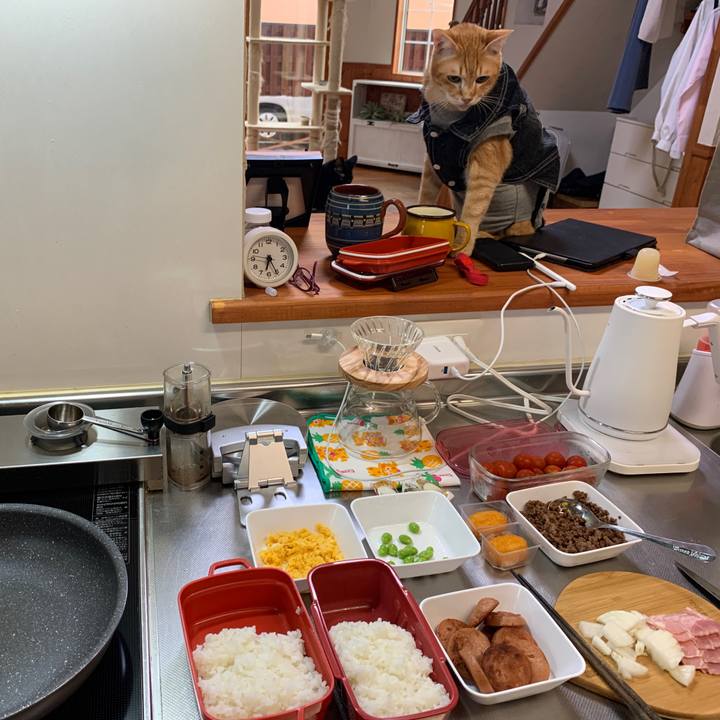 9257909d b714 45a9 a961 aa9cf815e360 1658179494156