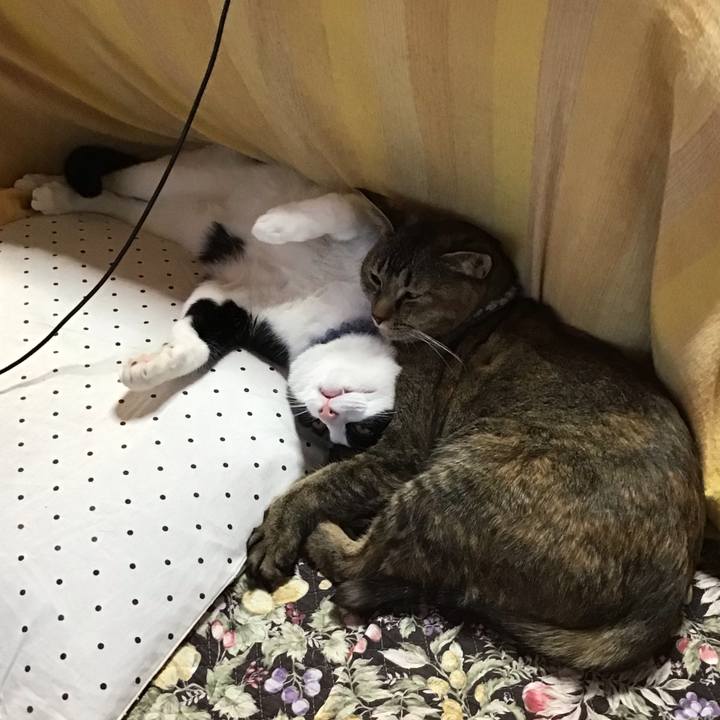 92579800 1537 428f 841f ddc3daa3064c 1640328378762