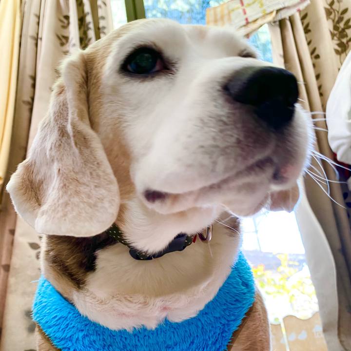 9257ad6e 0f62 4892 8742 b9ef74612ea4 1645155530937