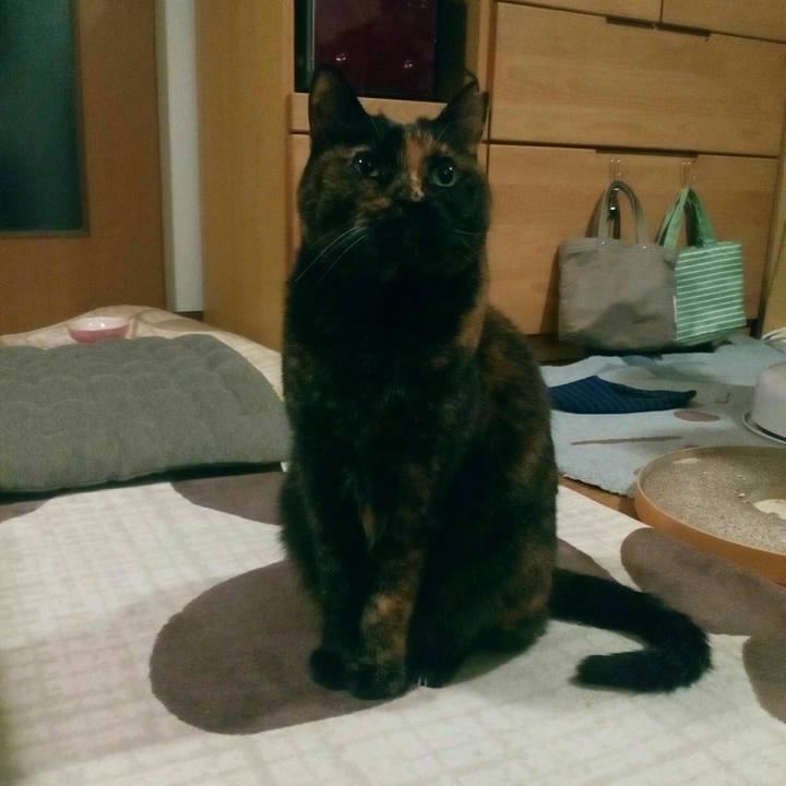 9257bfa0 0a9c 4ee6 9c5c 2a639e7718e9 1526693181700