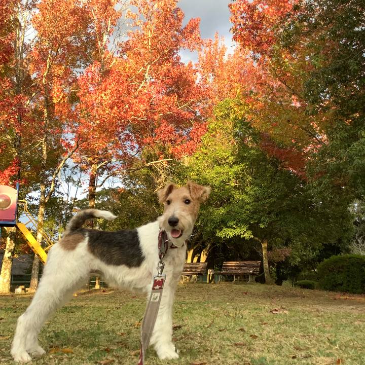 9257dbc3 8663 4028 8fc2 258d8b131fe1 1762172123129