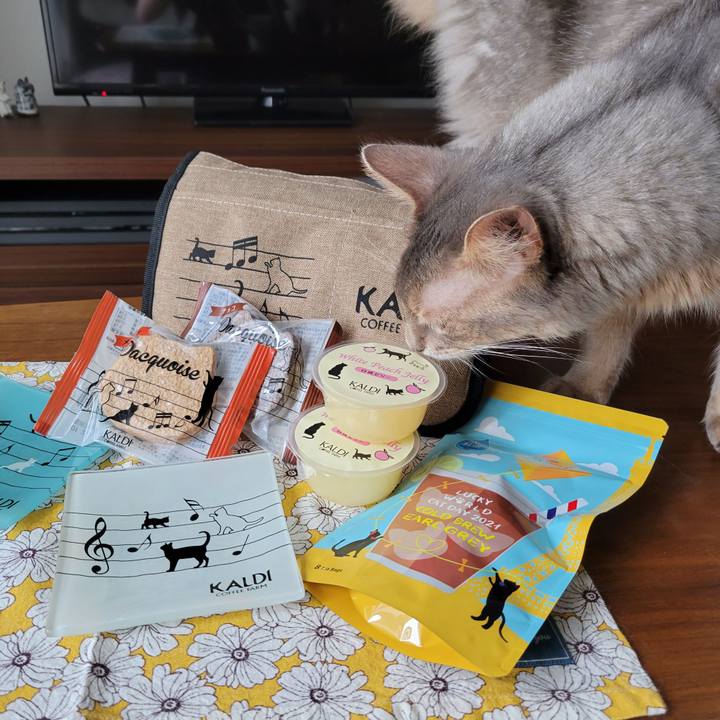 925806fa 8d84 4c2b bb77 83fb13d0aa44 1628301689526