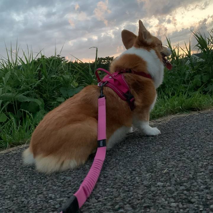 9258382d 1d2c 4b73 af42 97dc37c71e66 1624185299246