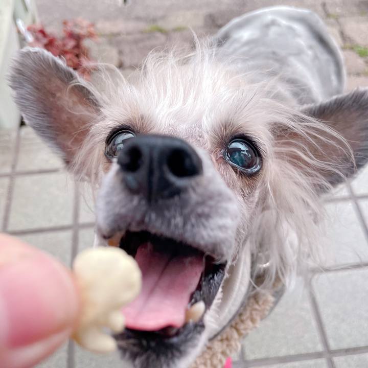 92585cea d7fb 47dc b988 405eadc5a698 1774167667058