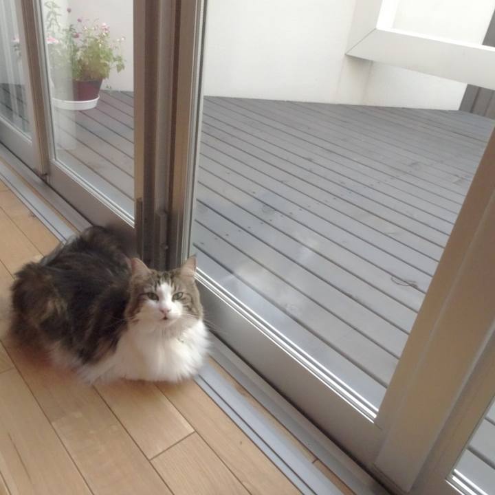 92585e20 1c51 48df a021 6a5b1aa6bd45 1535629473974