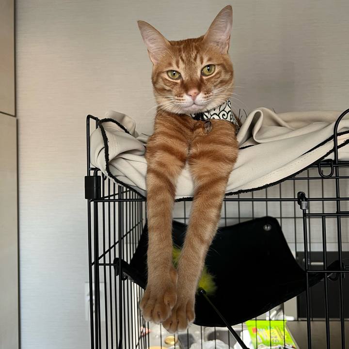 9258e76f cf67 4bc7 b9c8 336664492656 1641262607027