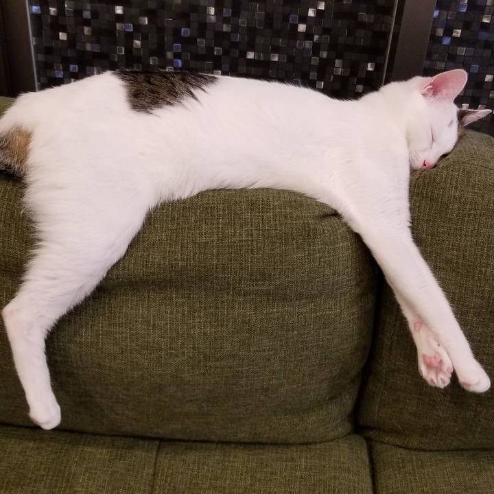 9258fac0 a4dd 4aa8 9a16 d7c13d0dba2f 1536638426207