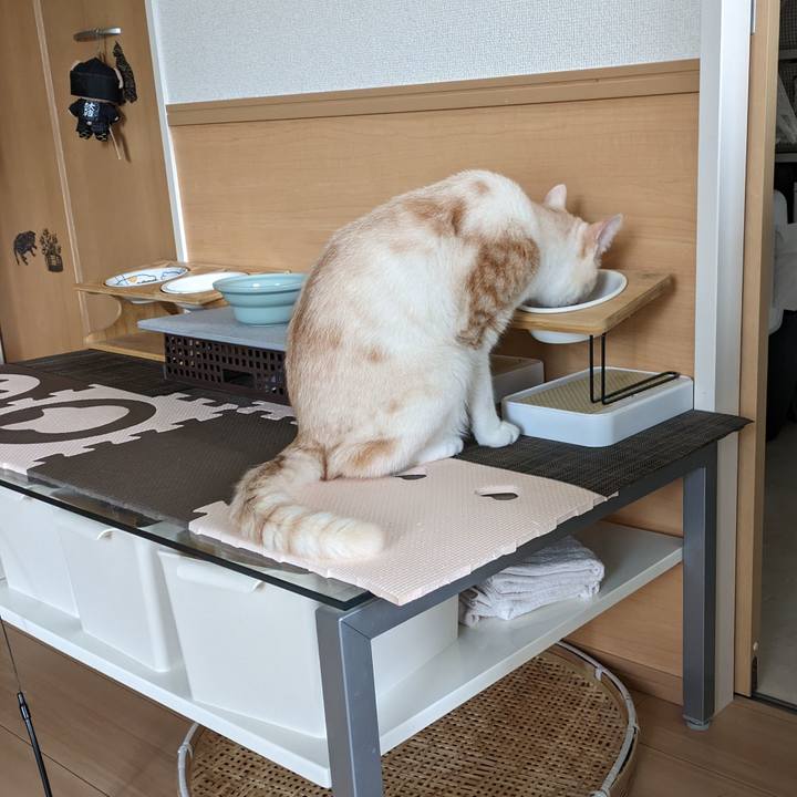 9259075f c00a 4ed2 8690 ba1be4375a1c 1695165417864