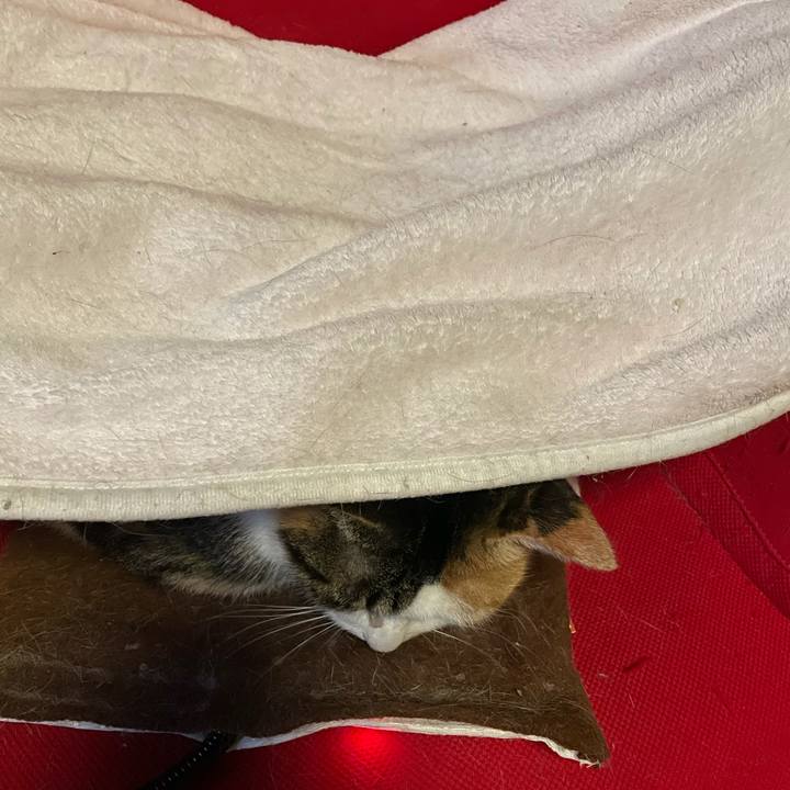 925916bc 8244 4ebd 9d6d fb6cd70bd4ef 1639181296553