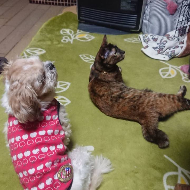 925924aa c454 4bd5 9fb6 960ca2845fa3 1638287607644