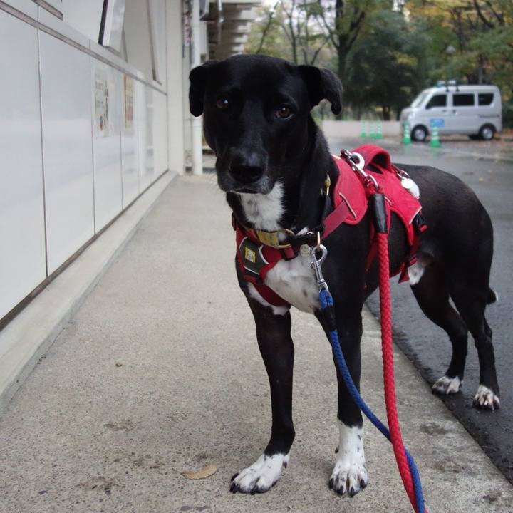 925936ce 0ad0 436d bc5c d5bc2283060f 1606260948817