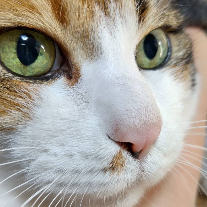 925958e1 0bc5 4337 b5f8 22574a6a8b91 1607055277677