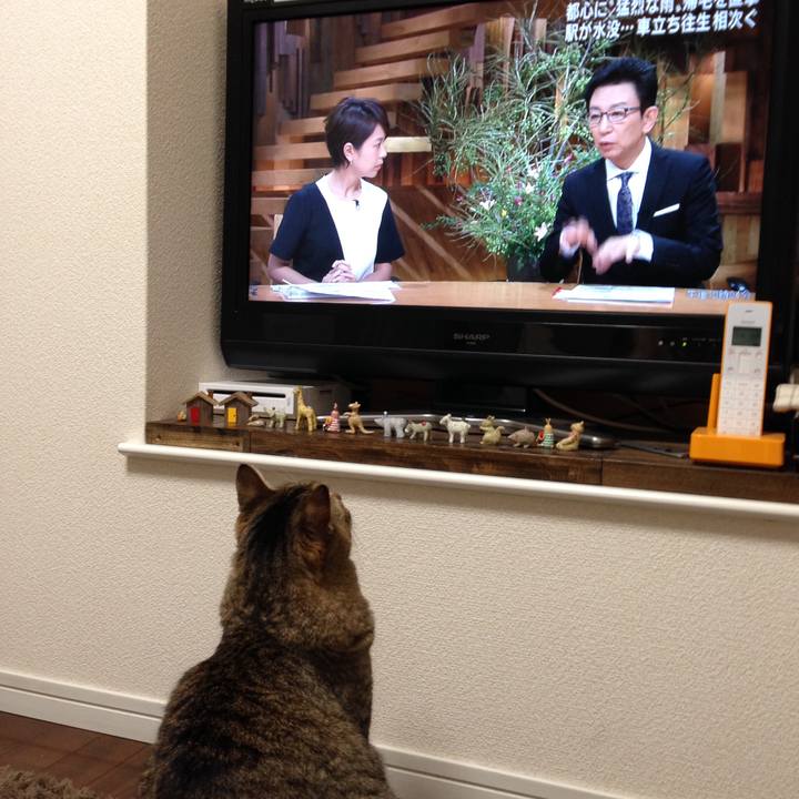 92596805 9b4b 42e8 b498 6213e0600a3e 1593758863312