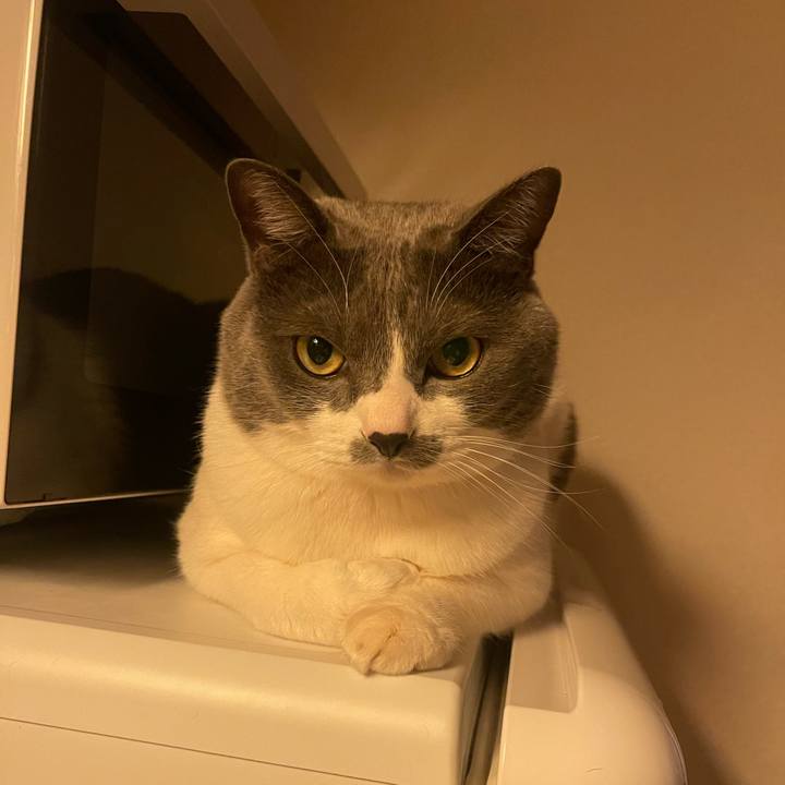 925989ad 3883 48d5 b593 9183cd708b44 1706177199042