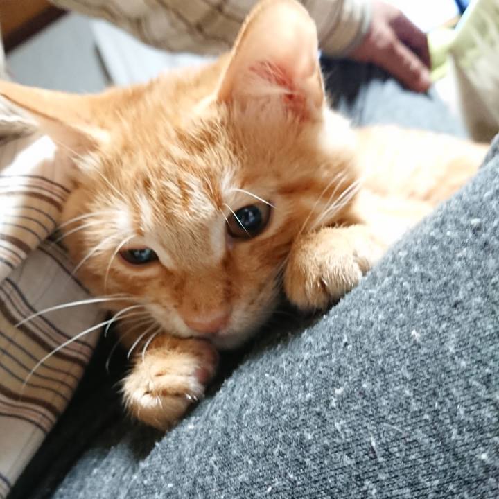 92598ded b069 4e5a b8ef 3d30823ff131 1634504093525