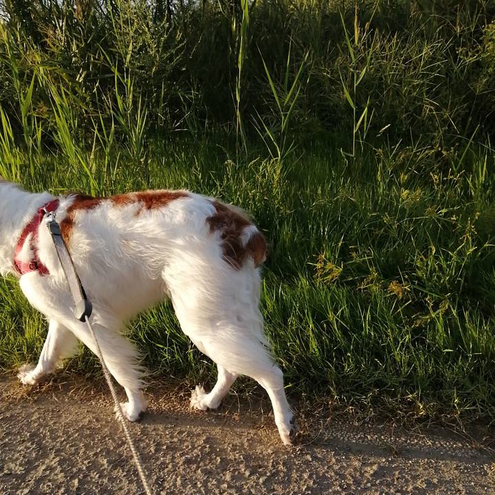 9259a3a2 aee5 4914 b69d e19f91e6fae5 1568632376437