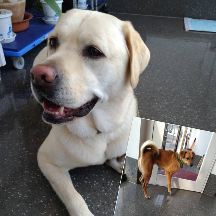 9259e008 0aa0 4489 a693 07db7beb1749 1557649592088