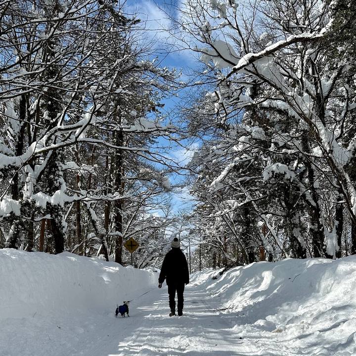 925a24d7 aed3 4f64 bce7 70a121402f92 1740404290883