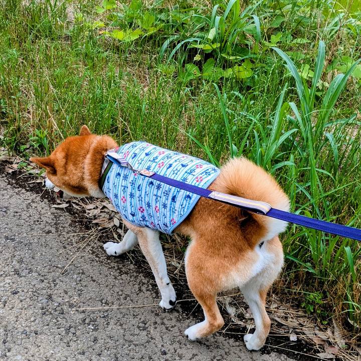 925a41d7 91a3 493f 89b2 a196404a7cd9 1750933869788