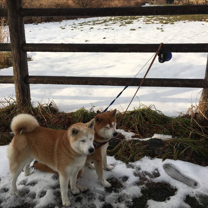 925a4858 ddb2 462e bbc4 3cbcbf749281 1514708427939