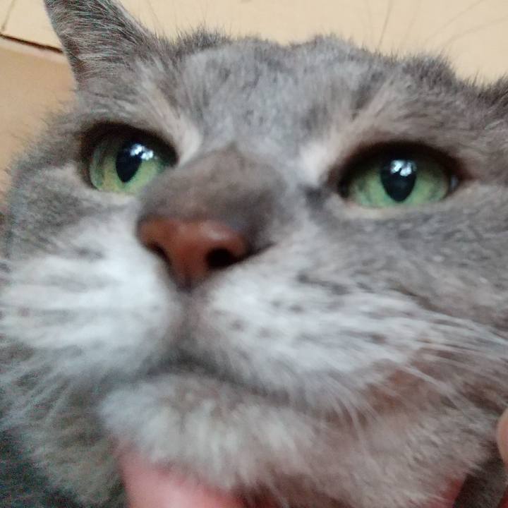 925a8c97 cbff 4240 8c8d ee5ff99338ad 1632226219140