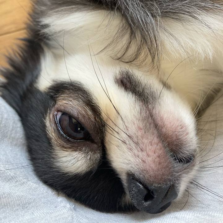 925a92cc 1def 48a0 9a47 91faf3b18d5a 1620535101251