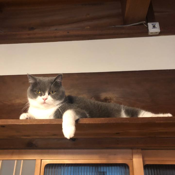 925a94f0 a2b5 45cd b783 80c0995e05f0 1599441292613