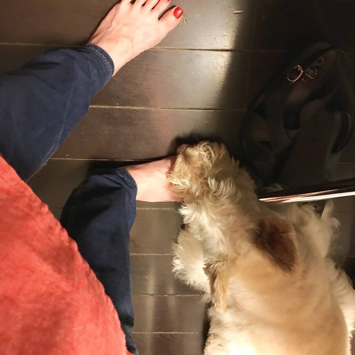 925a9e09 1f95 4ec4 b4fa 0181ed0d91b5 1528721522633