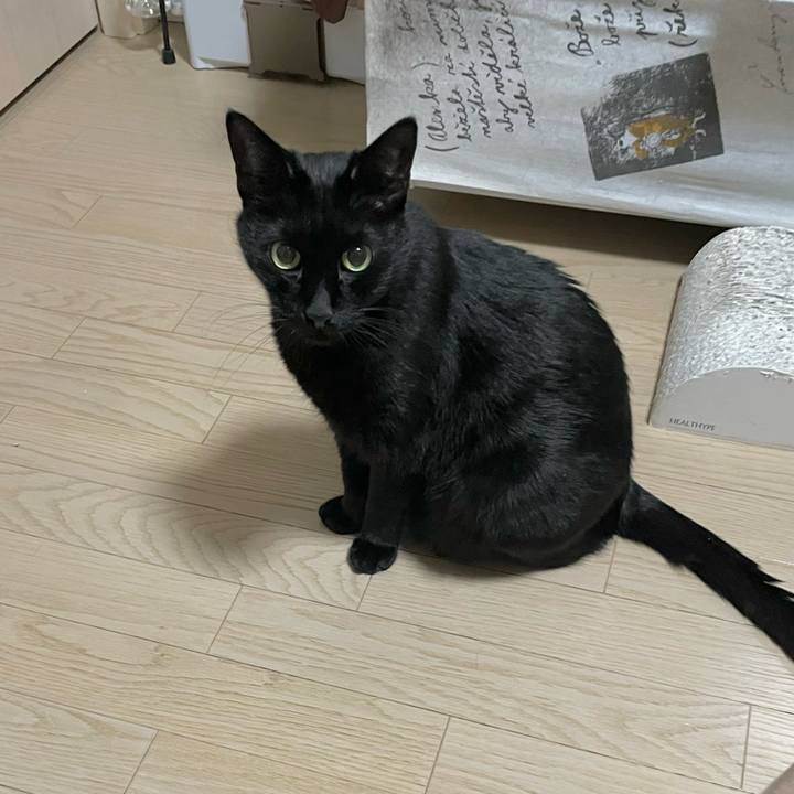 925acae4 d6b1 4453 a152 8ba7c5359134 1701867454298