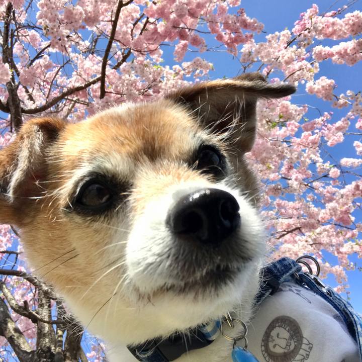 925b0c01 5f85 4cd4 bd2b b9fc3a228b9d 1649387125701