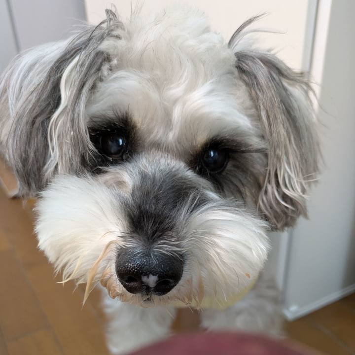 925bb4f7 7276 4b90 aa78 9349a7c78866 1763517644310