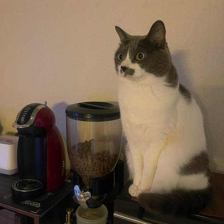 925bd25c a468 4897 8021 d44ab4eba864 1736290943824