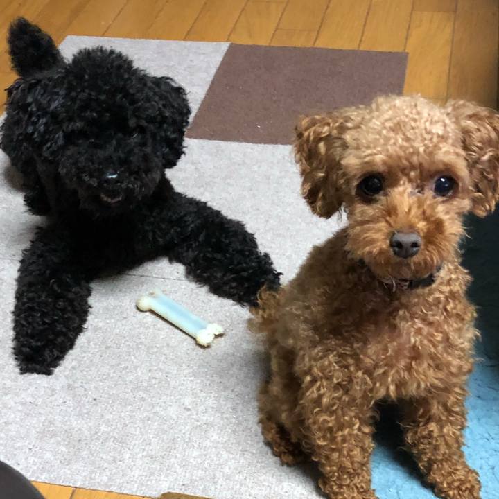 925bd7d8 d7e7 4d5b 9144 37424caf0737 1531998331042