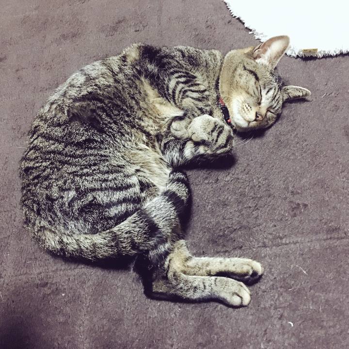 925be99b 0200 4e5f abec f7e71939a42c 1518830836346