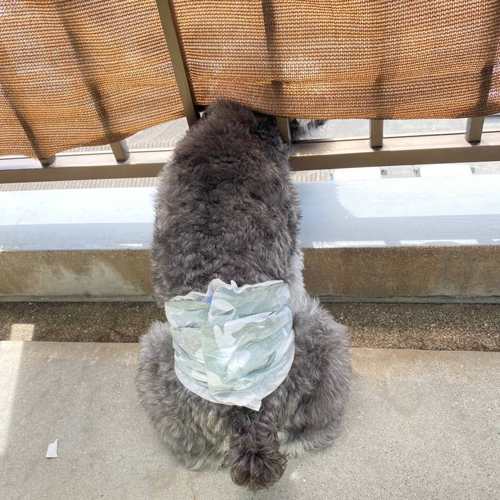 925c1213 534e 4e8b ae6d 631bebd93327 1588905889586