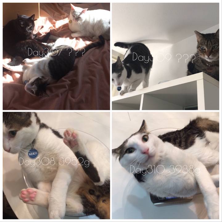 925c3732 4904 4d9b 8fdf a4601e137eb4 1523794354099