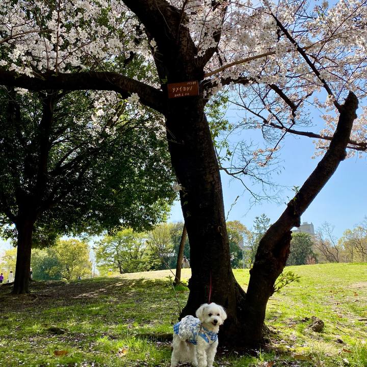 925c6f76 5883 4c67 97f3 827644bcfbf2 1679981919782