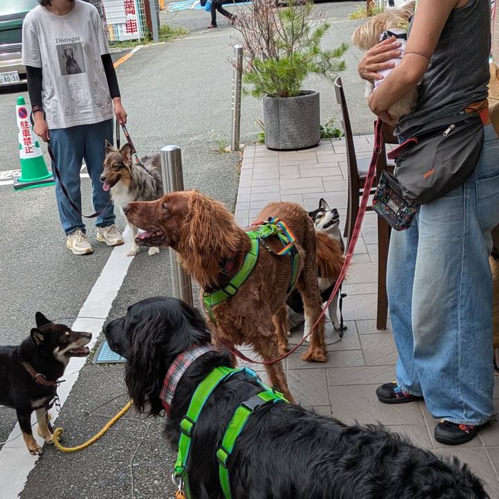 925c72ab e3f1 4cf8 9765 be242040a239 1755776702837