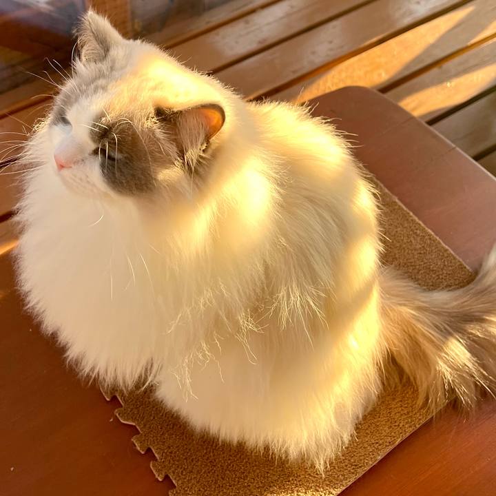 925c78f4 b86d 41c5 9e4e 1a9d63bf44e1 1673161221744