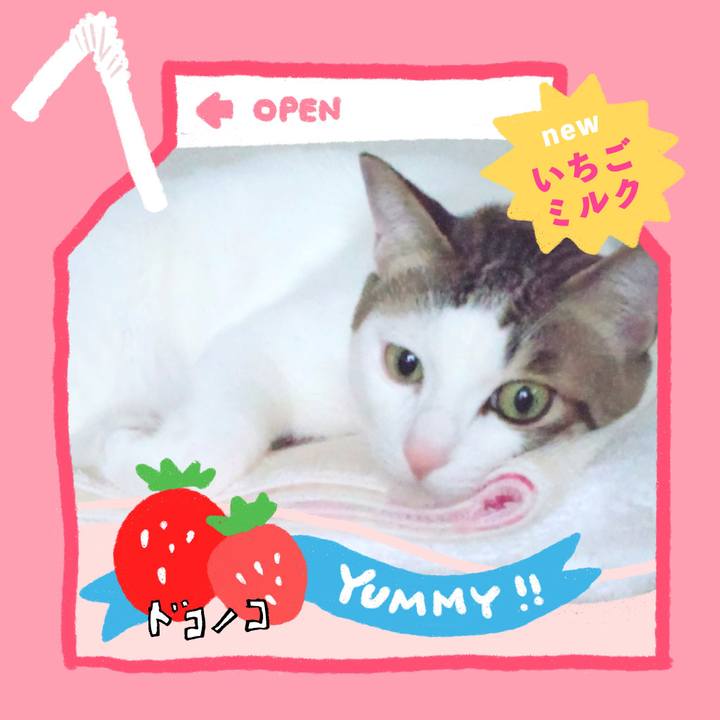 925c9153 219b 4388 975c 2eb09cadc37e 1711030401701