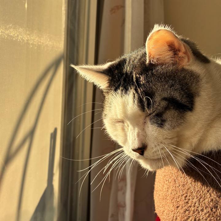 925c9284 ef61 4afa 821b 80d628fe220a 1770677648269