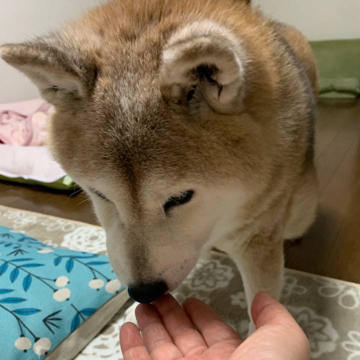 925ccc8b 26f0 436a b8da a4f2191503fb 1661342473141