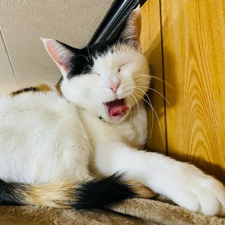 925cdf27 e08c 416e 9a31 71e8f2244411 1677534861651